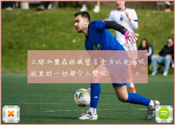 三球加盟森林狼誓言全力以赴感叹这里的一切都令人赞叹