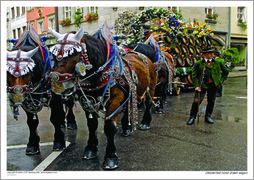 Oktoberfest horse drawn wagon