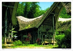 Tanah Toraja longhouse