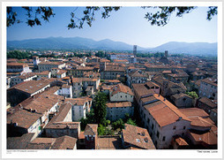 Tiled rooves, Lucca