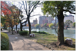Riverside Garden, Hiroshima