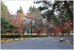 Gyoen National Garden, Kyoto