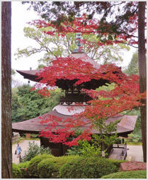 Gardens of Ishiyama Temple