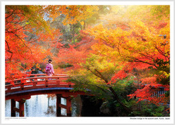 Wooden bridge in the autumn park, Kyoto, Japan
