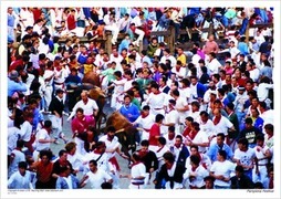 Pamplona Festival